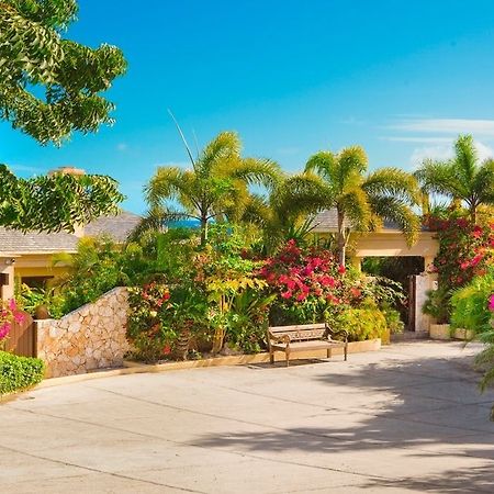 Anguilla'S Bird Of Paradise The Valley Buitenkant foto